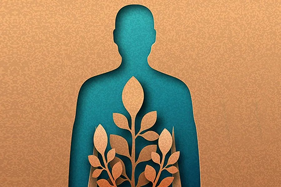 Cut paper illustration of a human body silhouette in blue tones with plant sprouts in brown paper inside the body and background. Schedule a proactive health screening from The Cove Concierge Medicine in Denver.